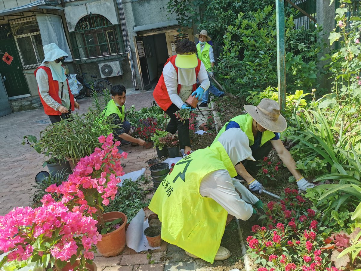 Di1i6hXRiqne0V9's tweet photo. [Yesterday I worked with Yuan Yongcheng to promote the community garden project, his responsible attitude is really impressive!] https://t.co/sNrbNJ0dPi