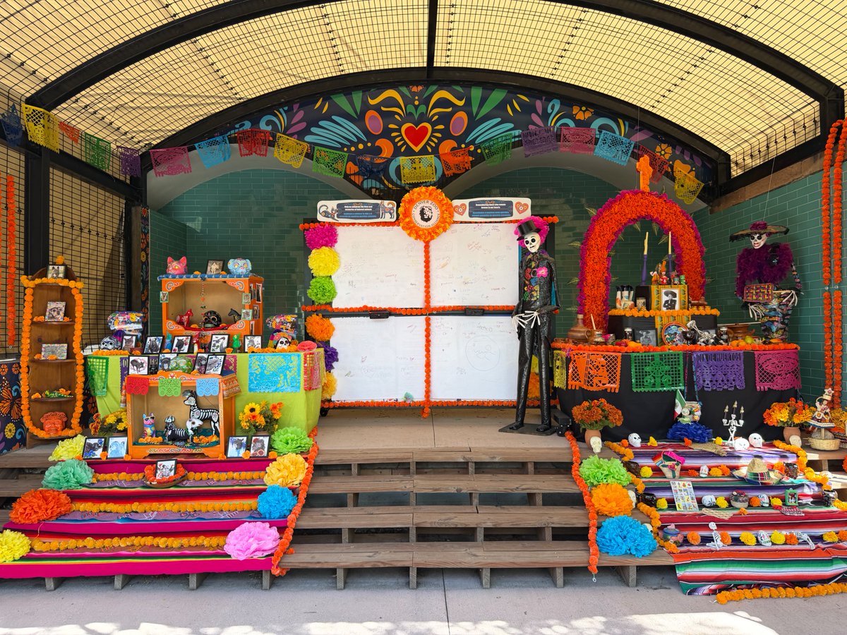 DenverZoo's tweet photo. Join us now through November 1 in celebrating Hispanic Heritage Month and Día de los Muertos at DZCA! 🌼🎨🦋🐾

The area around our former Felines Building has been transformed into a vibrant gathering place where culture, wildlife, conservation and community come together in collaboration with @MexiCultural. 

Guests can explore colorful alebrijes inspired by Zoo animals, community-created artwork, conservation stories, cultural traditions and spaces for remembrance, all while enjoying live performances, animal encounters and interactive art with local artist Óscar Becerra.

Discover the connections between people, animals and the natural world, and celebrate the imagination, connection and legacies that bring us together.

This experience is included with daytime admission. Get tickets at https://t.co/S4deJXZkY2.