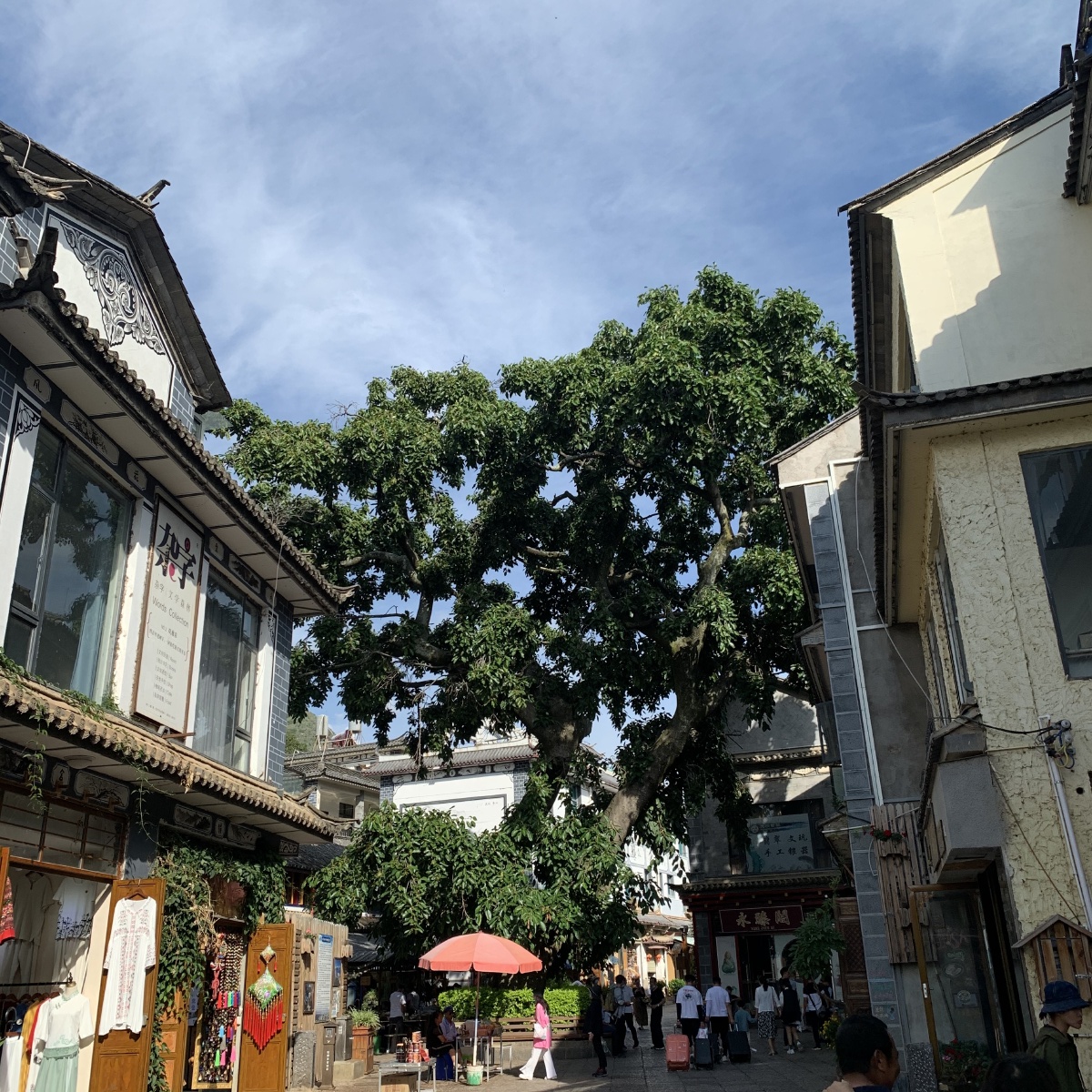 8kwXcn4mBdnd3TH's tweet photo. [In the lively town of Raosha, the ancient fir trees stand tall, weaving warm city memories.]， https://t.co/XzbSYmE1XD