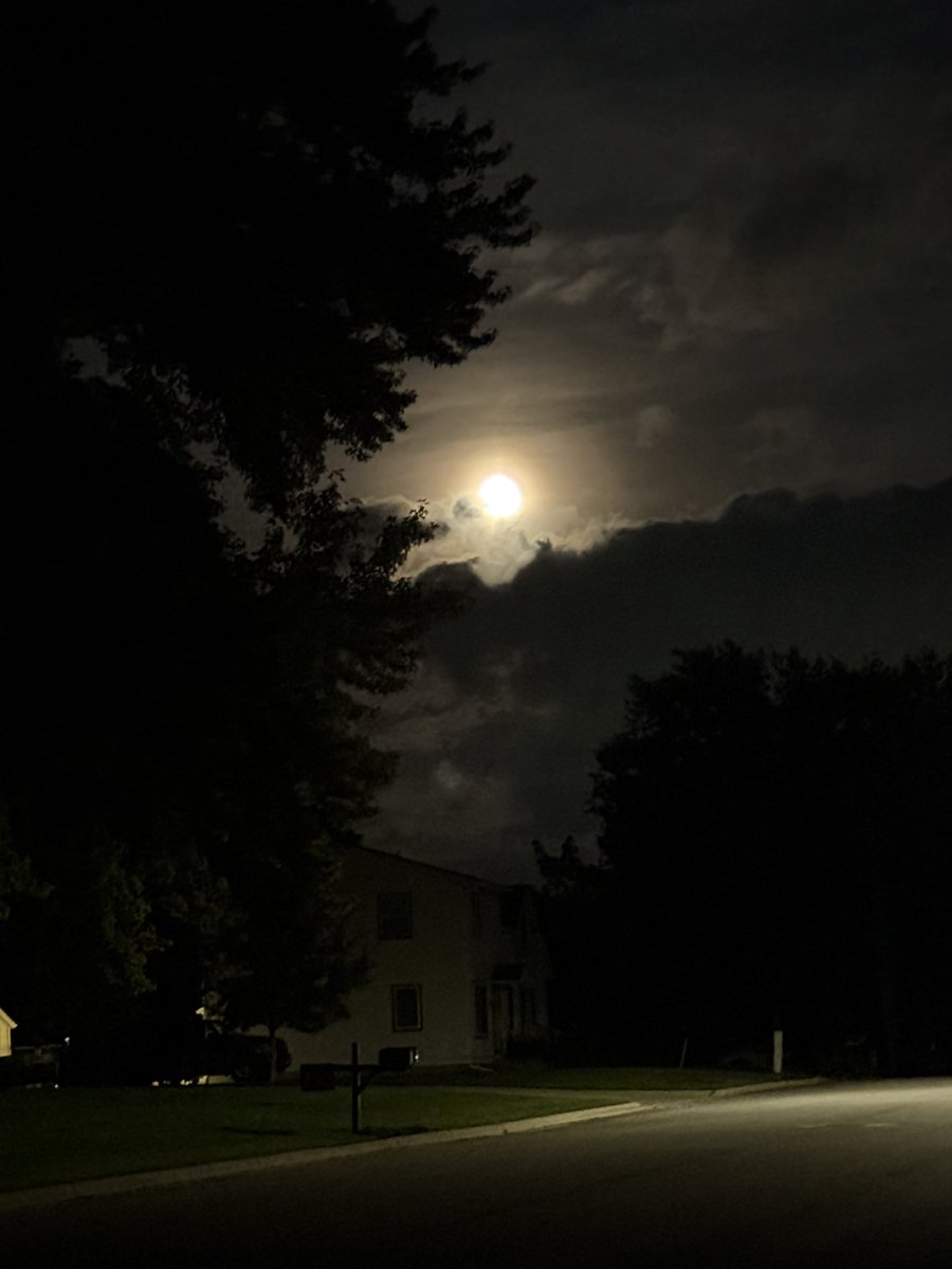 Sunkpurse3's tweet photo. sitting in the dark on a foggy night after a walk just listening to the animals because my doctor said it’s good to spend time outside I guess (he probably meant in the daytime) https://t.co/egS0XHpyRy