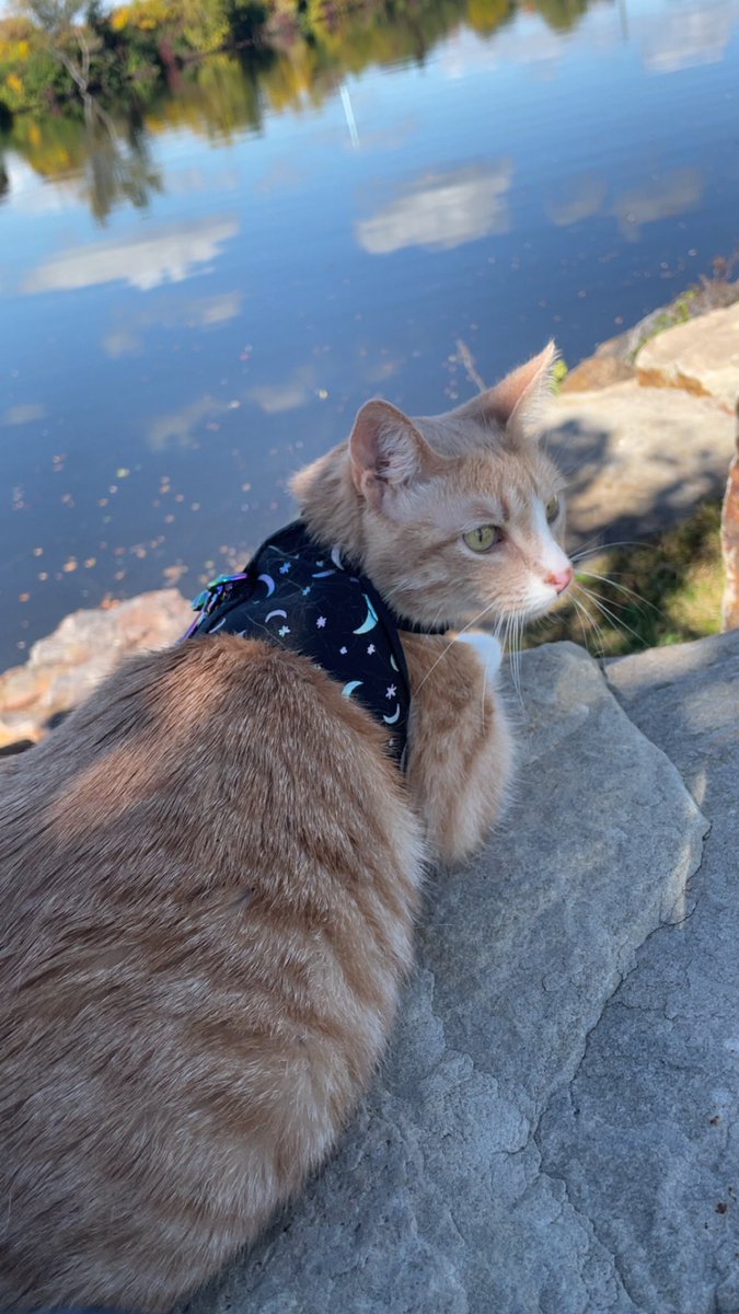 PrepyTV's tweet photo. Cooper and I went to the park today and he touched grass. I didn't 🤣 https://t.co/e7iJmI70aN