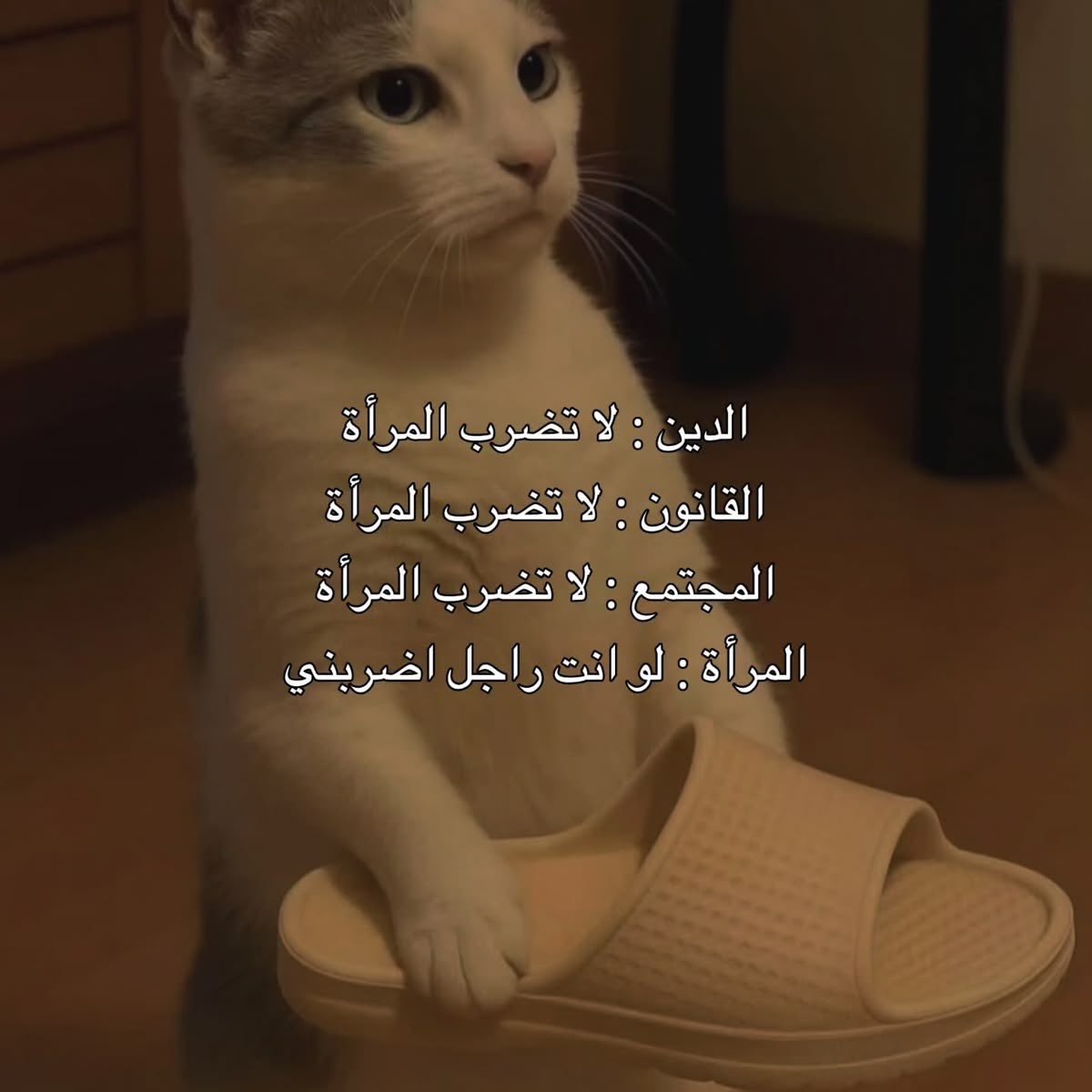 Ghada00094's tweet photo. https://t.co/9tfCycHpAA
