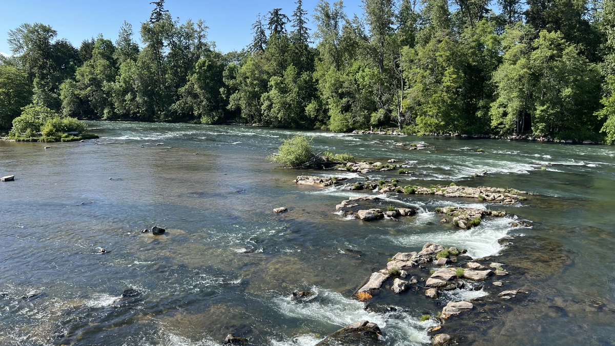 keizerbill's tweet photo. Oregon is worth fighting for. #saveoregon https://t.co/H3EAkeMtoq