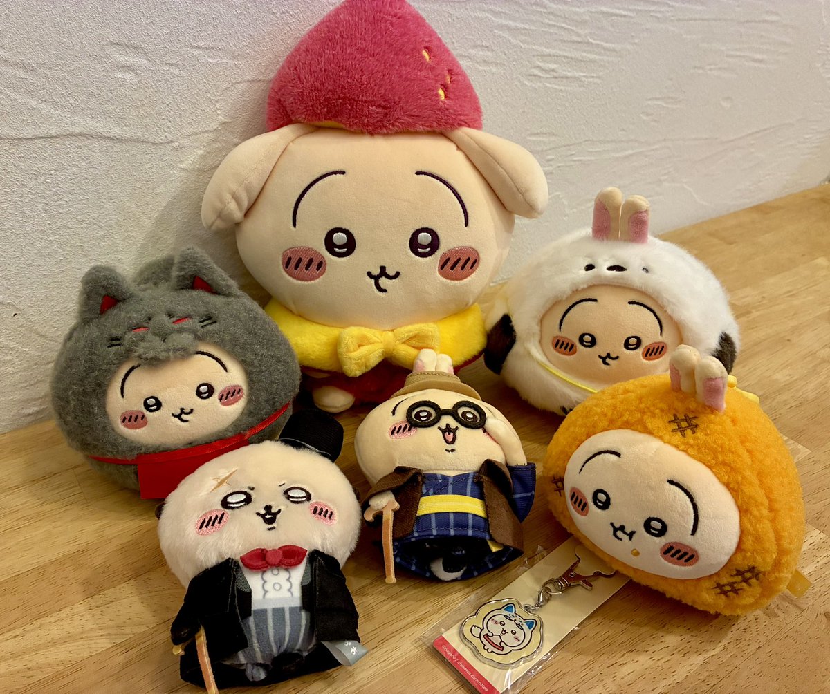 suou_iroiro's tweet photo. 届いたばかりのぬい達
みんなもふもふ過ぎて触り心地良いー❣️ https://t.co/co2MplCnfu