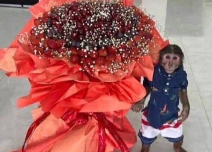 bllarmseyedge's tweet photo. lo que ve ari cada vez que le regalan flores https://t.co/xFpuC8JY45