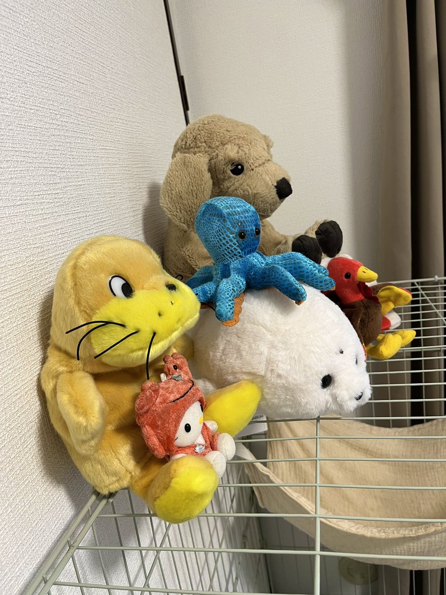 imairuka__'s tweet photo. https://t.co/1jTmJapQwn