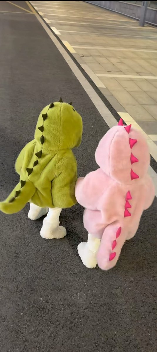 cutesleept's tweet photo. Wishlist masa depan: punya anak terus dipakain baju dino gemess begini...😭🦖 https://t.co/E2cOiW04az
