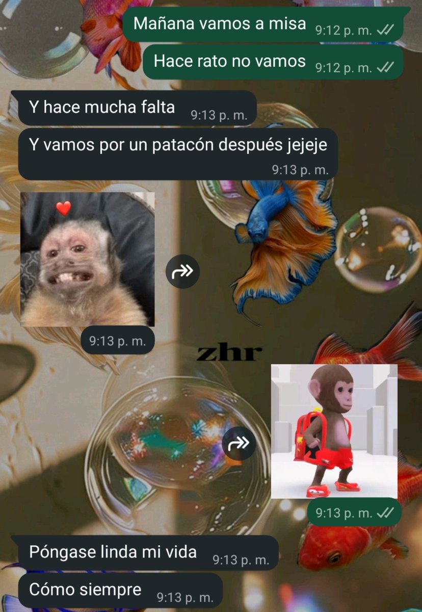 anysamo69's tweet photo. Ya gané https://t.co/Ux5ofmyE9y