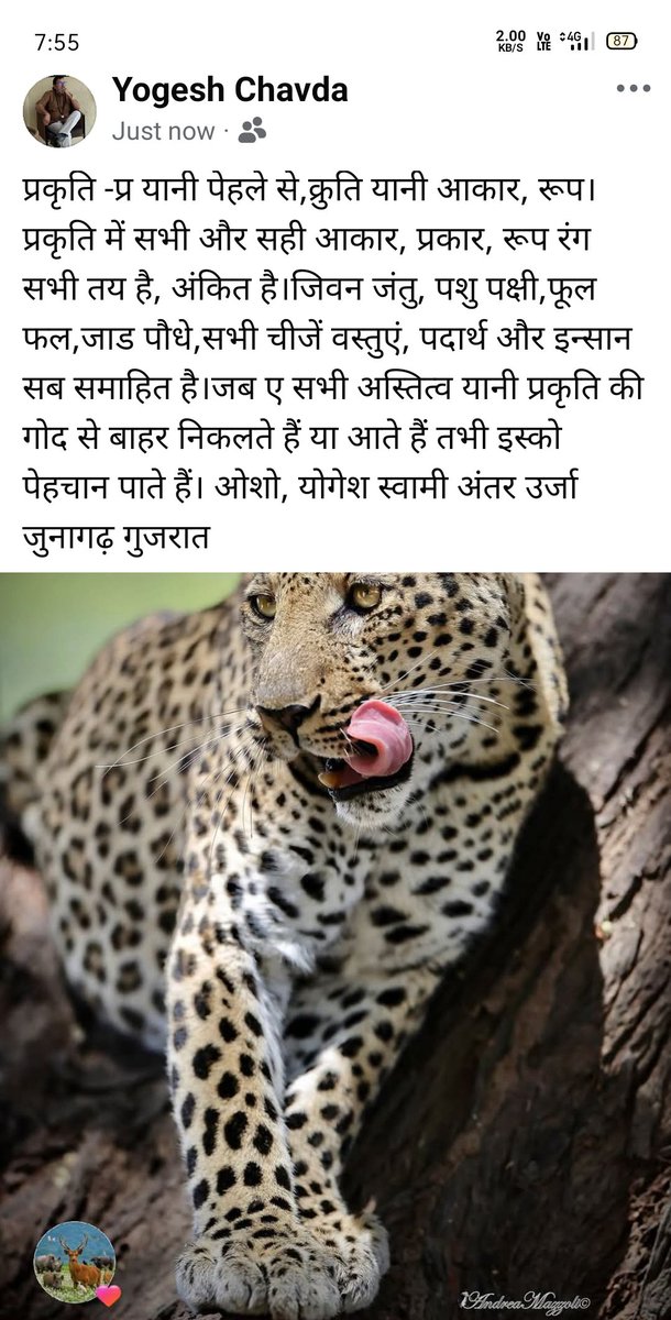YogeshChav44795's tweet photo. https://t.co/rl1LwCwmCL