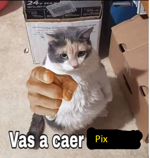 FireBla57134828's tweet photo. @PixIl_4k La hice en Paint :D https://t.co/utrRsKeGk4
