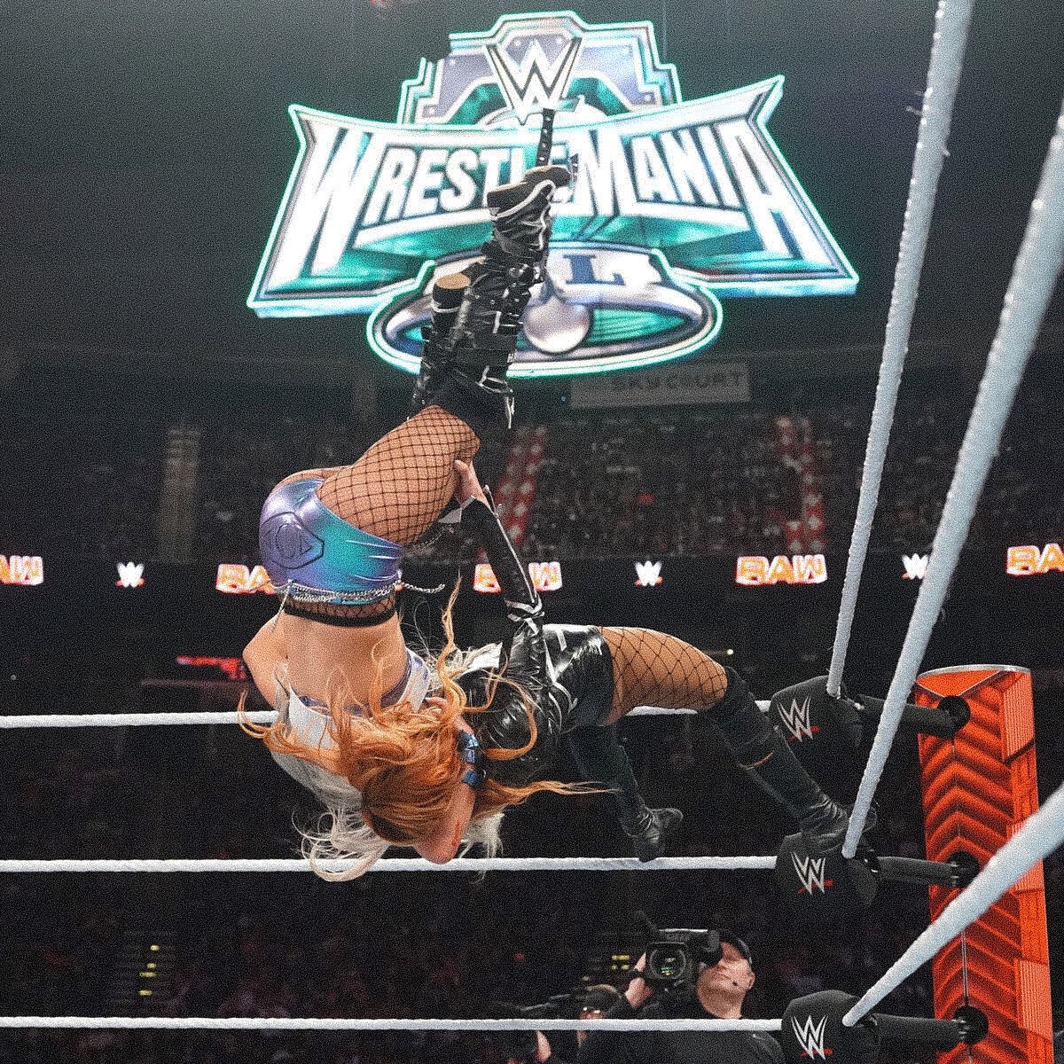 maddiemania_'s tweet photo. Let. Them. Cook. https://t.co/IVVmeiy9CI