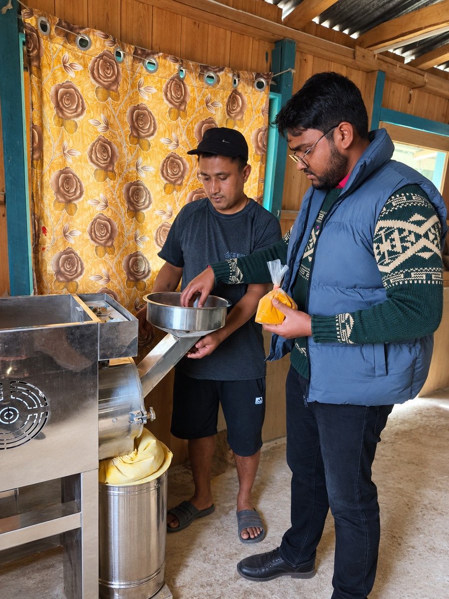 AgriGoI's tweet photo. From Turmeric fields to into Markets 🌿 📈
Highland Hills Farmers Producer Co Ltd #FPO from #Darjeeling #PMDhanDhaanyaKrishiYojana district #WestBengal, with 782 farmer members, has set up a multi-pulveriser capacity 10 quintals/day for turmeric value addition.
Local processing & value addition leads to stronger market opportunities for farmers.
📞 FPO Contact: Sh. Aviskar Rana  6295452194
🛒 Click to buy directly from the FPO
https://t.co/Y2sKLXR1mP

#DDKY #Turmeric #ValueAddition #FoodProcessing