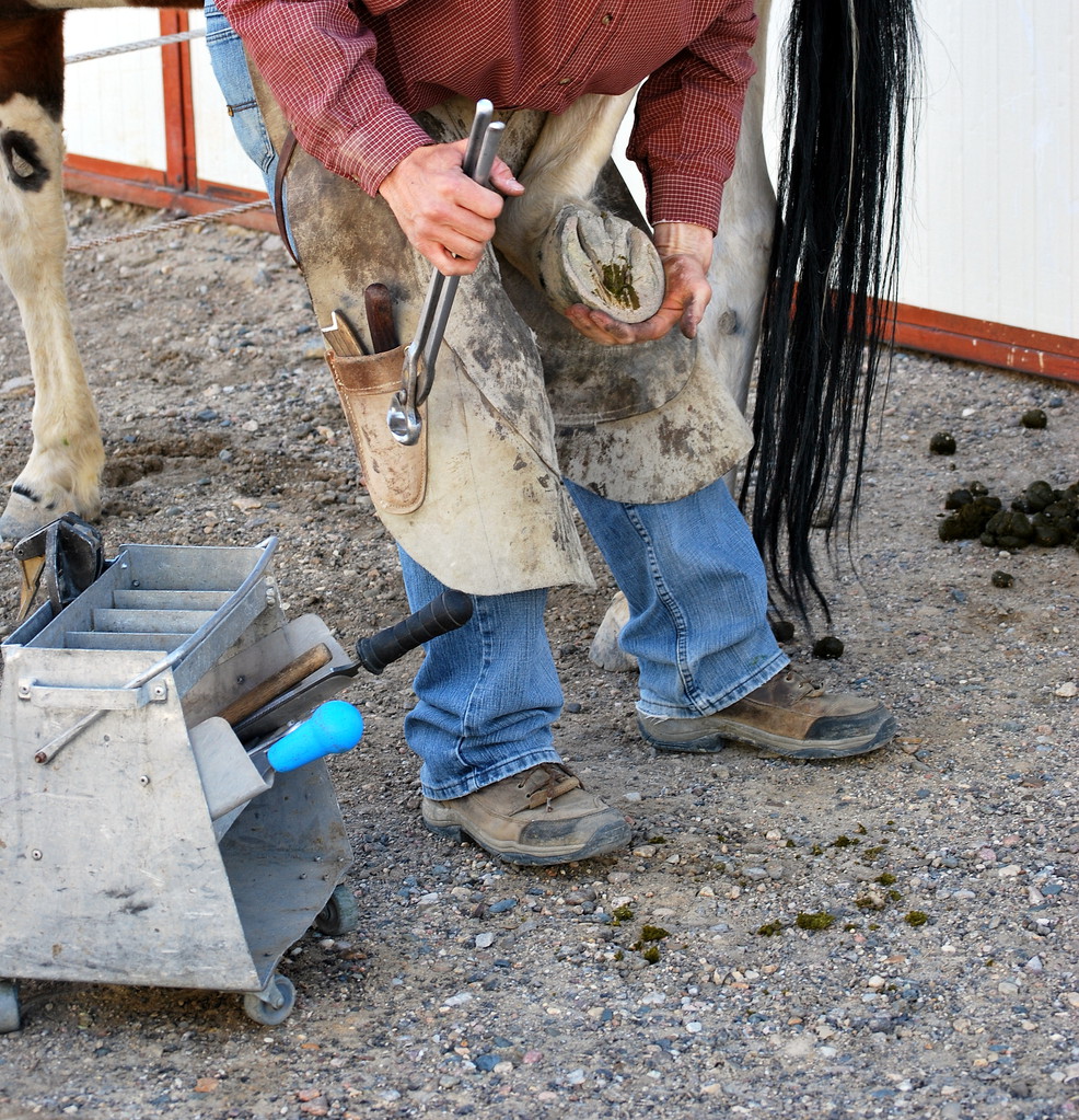 hub_sharo_5_8a2's tweet photo. String shop staff wear hot iron to repair horse's hoof， https://t.co/y7EQL5G9OO