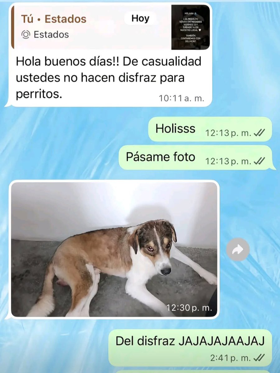 bjs_alejo2's tweet photo. https://t.co/7JEwcfYbRn