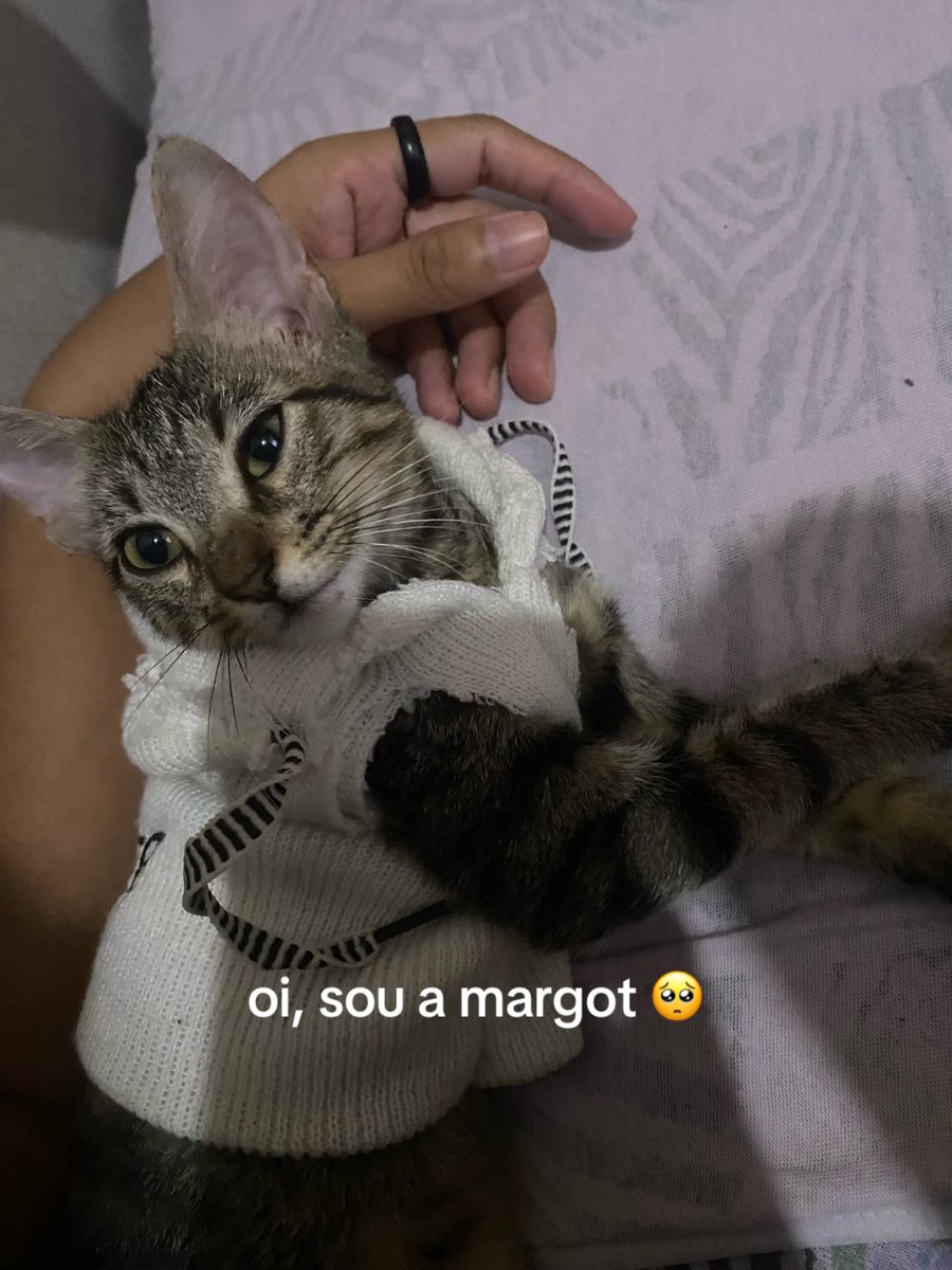 itsdoardaa's tweet photo. por favor me ajude a salvar minha filha, se não com algum valor, apenas dando rt 🙏🏼 https://t.co/99Oz8rM3ZV
