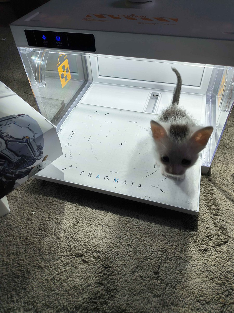 GrimmiVT's tweet photo. Update: Poor Oreo's going through it- She's okay now, but before I got her she got stepped on and apparently her leg also broke and healed weird

She's getting surgery for her hip, she's already on pain meds and has always been able to run around and go nuts- but poor little lady https://t.co/8BdaudqXwB