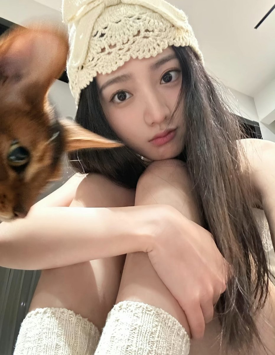 maurix_francis's tweet photo. 上供
第一次玩x

有人想锐评一下我的燥福嘛 🥹   
看完不许瞎说，赶紧看，我要删了

1：看福
2：看🐻 https://t.co/A3X8Yd1UNI