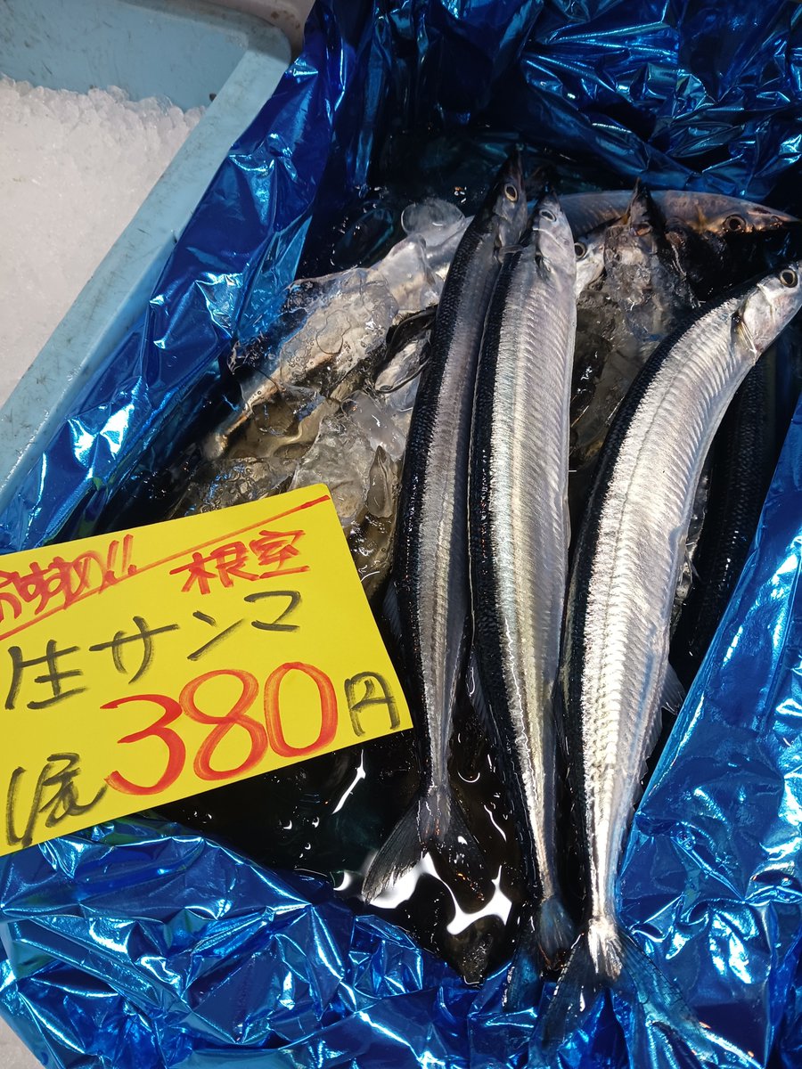 1E2znlirtRPkqLH's tweet photo. おはようございます🐟

お刺身用生ホタテ🉐
150㌘入り1パック６５０円

生ミンククジラも入荷してます🐟

網走産しじみ
生サンマもまだまだあります🐟

本日もよろしくお願いします✨
#オホーツクTwitter会 
#伊藤ストアー https://t.co/OSu0u0Ya3w