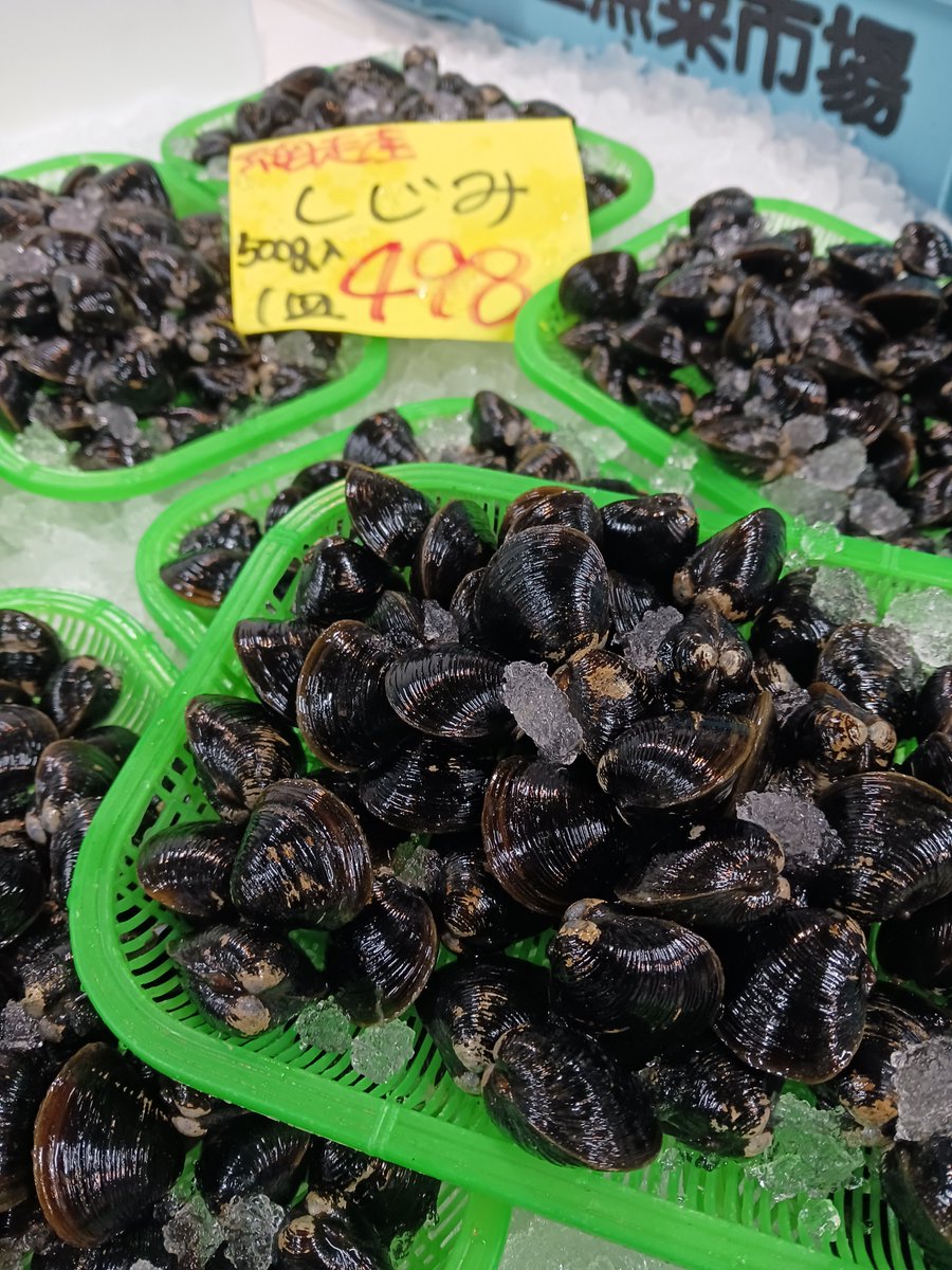 1E2znlirtRPkqLH's tweet photo. おはようございます🐟

お刺身用生ホタテ🉐
150㌘入り1パック６５０円

生ミンククジラも入荷してます🐟

網走産しじみ
生サンマもまだまだあります🐟

本日もよろしくお願いします✨
#オホーツクTwitter会 
#伊藤ストアー https://t.co/OSu0u0Ya3w