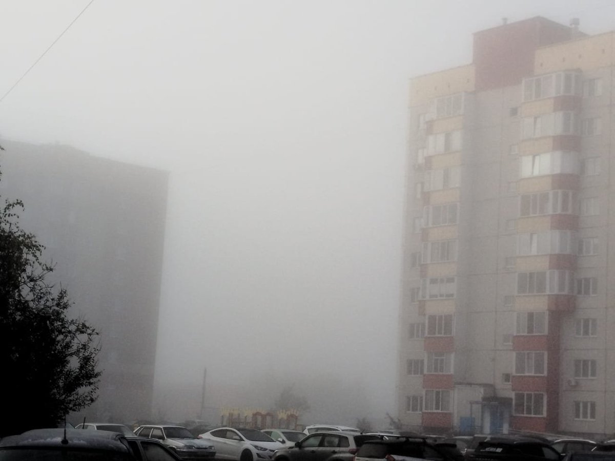 auikkn1's tweet photo. Смарите какой туман https://t.co/HBPqYV9NLq