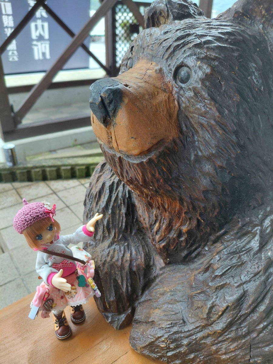 nonpubakudan's tweet photo. 🧸🐻️くまさん可愛い https://t.co/iB5ebxSeHc