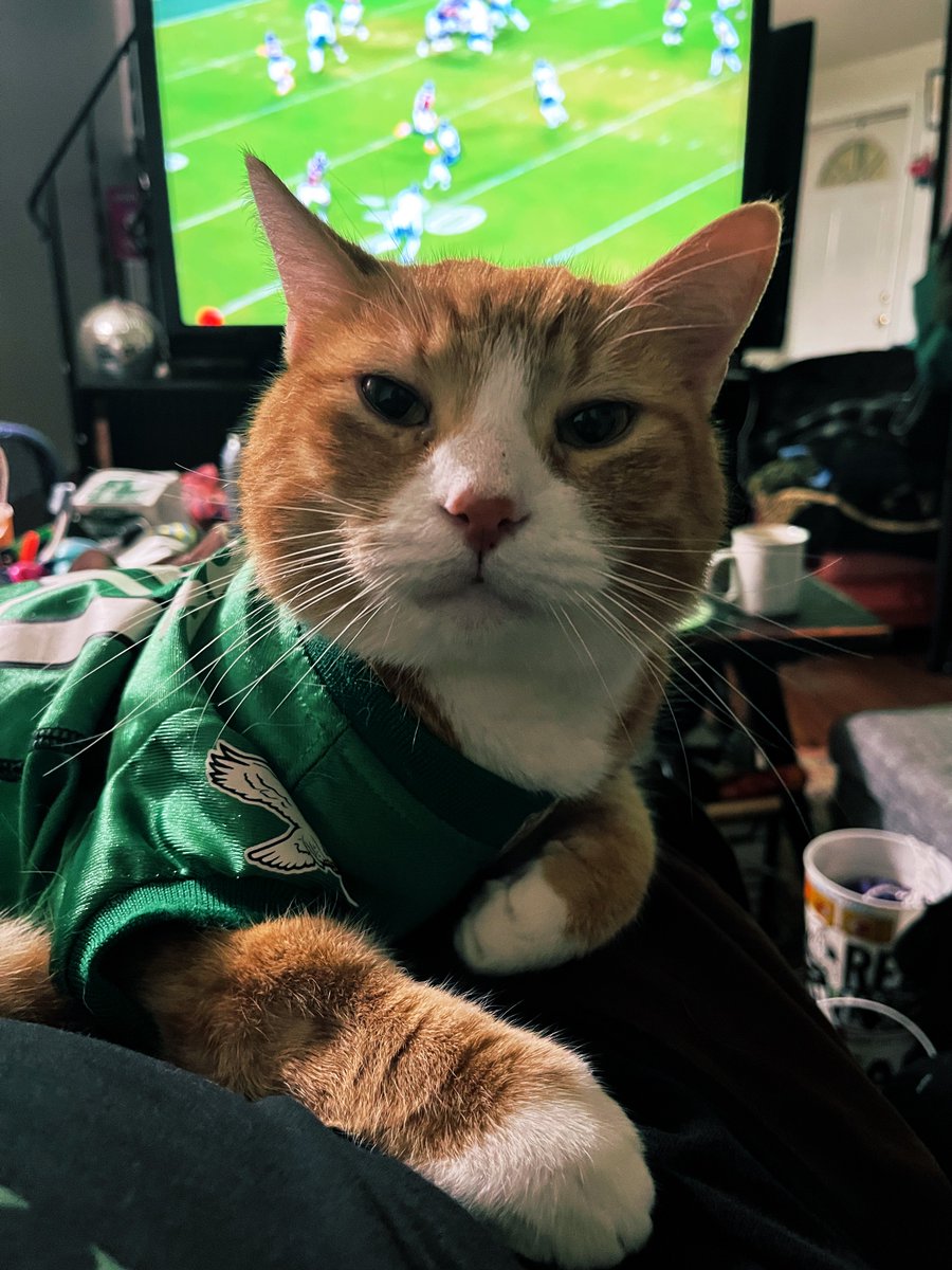 Jimmyking35's tweet photo. Uh @Eagles you’re pissing him off do something https://t.co/HbADJTHZtb