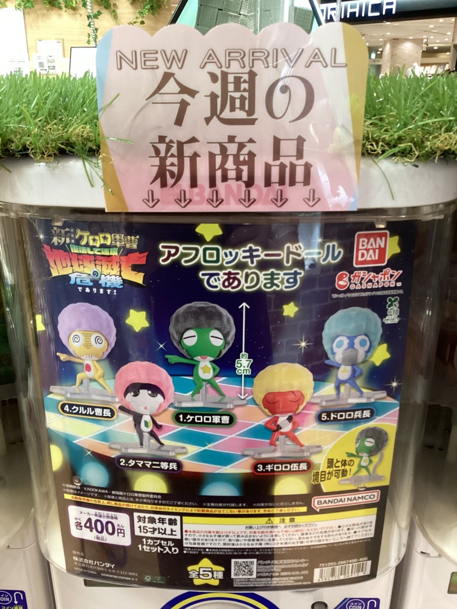 gashacoco ララガ-デン長町の入荷情報の写真