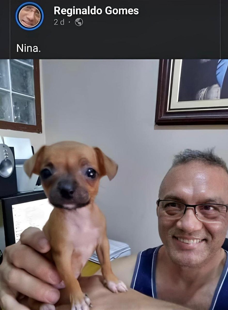 face_acabou's tweet photo. Nina. https://t.co/1GDqrmWjX0