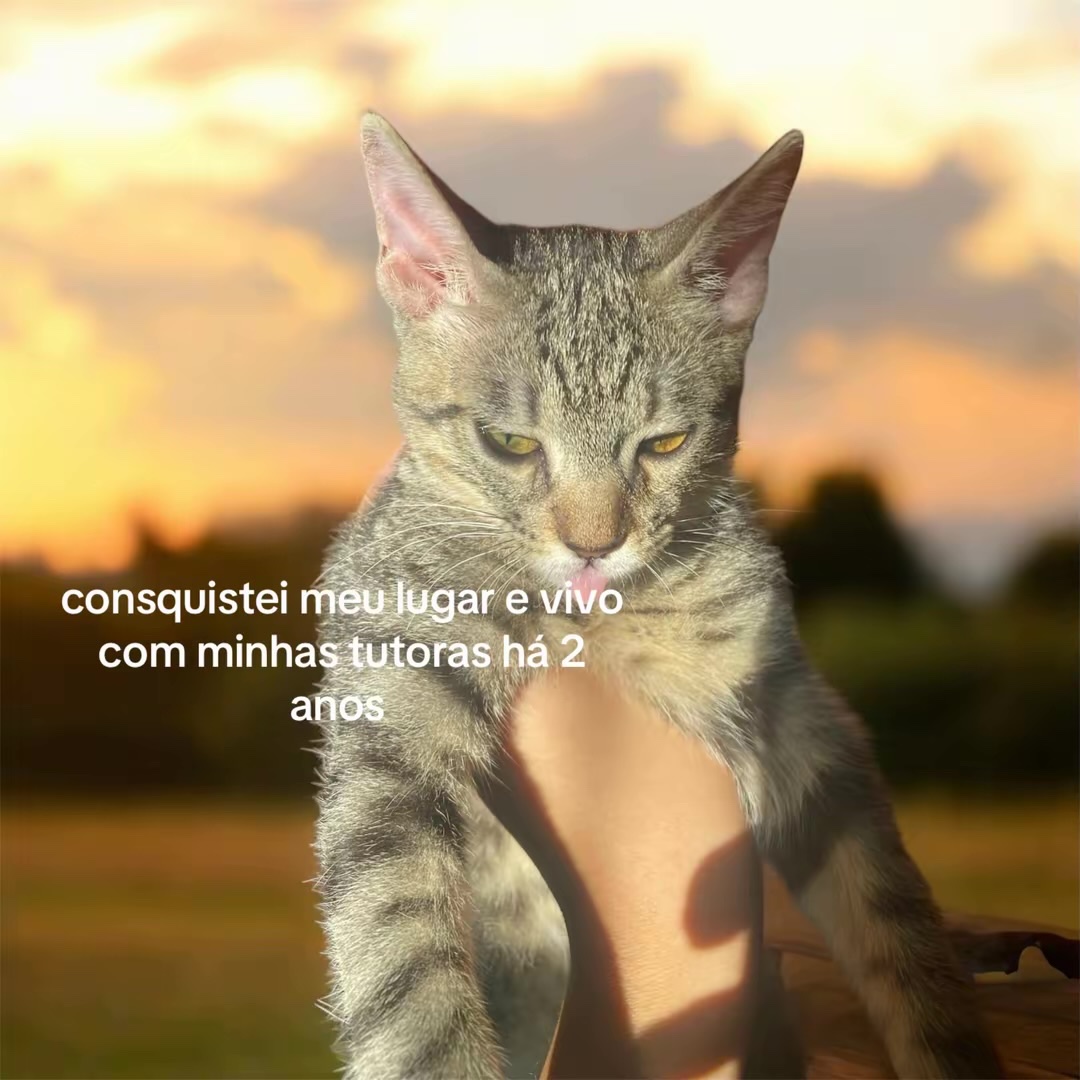 itsdoardaa's tweet photo. por favor me ajude a salvar minha filha, se não com algum valor, apenas dando rt 🙏🏼 https://t.co/99Oz8rM3ZV