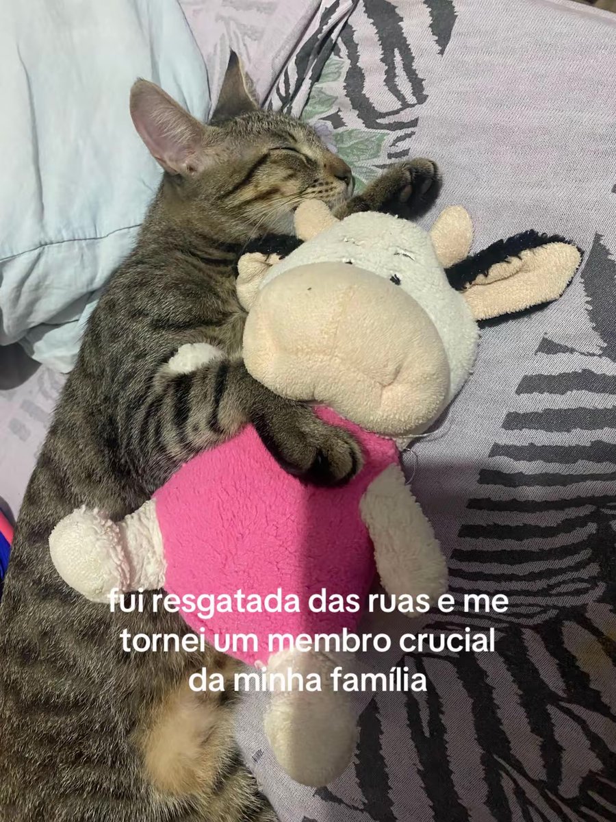 itsdoardaa's tweet photo. por favor me ajude a salvar minha filha, se não com algum valor, apenas dando rt 🙏🏼 https://t.co/99Oz8rM3ZV