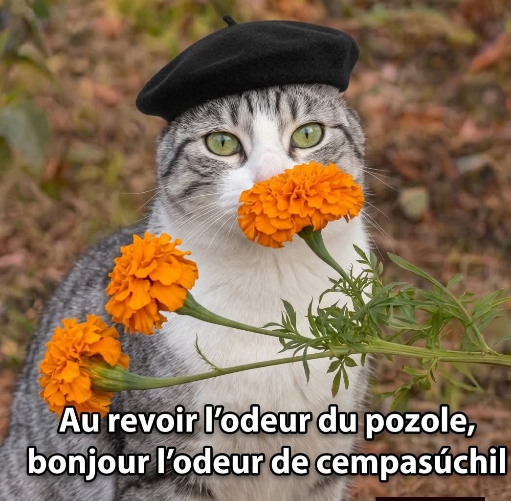 AngeObscure's tweet photo. Au revoir, tonotos! 🫢 https://t.co/gf7c35KgiB
