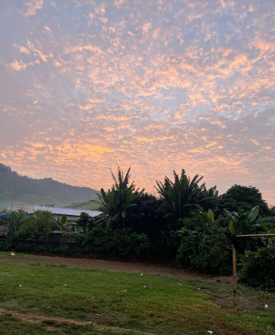 A landscape photo capturing a vibrant sunset with pink and orange scattered clouds over lush green vegetation, banana trees, and distant mountains.