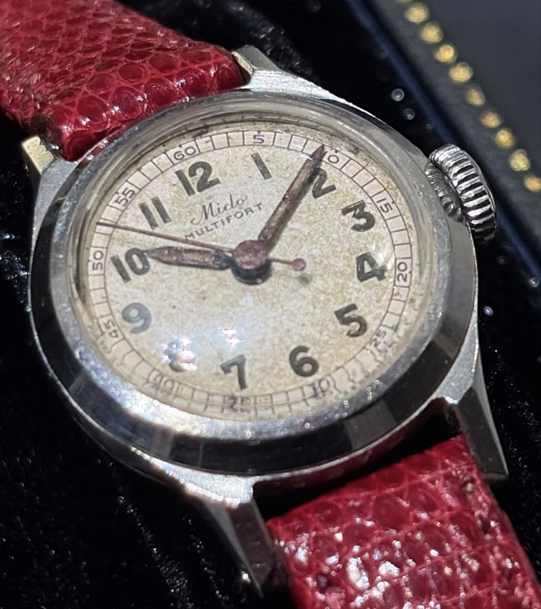 Shellman_Ginza's tweet photo. Just 11 days until #worldwatchday! ⌚✨
(Named after the classic 10:10 position)
A 21mm Ladies model with a warm dial and red strap for autumn style.
1950s MIDO Multifort
• SS / 21mm / 1950s / Auto
DM for details! 📩
#worldwatchday #worldwatchday2026 #Mido #Shellman https://t.co/6iy2kmztEE