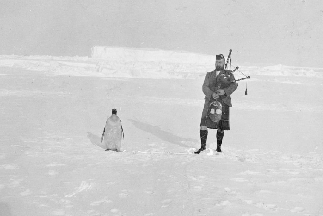 PGrasmehr's tweet photo. @oceana Bagpiper Gilbert Kerr (right) stands next to an Emperor penguin and both are excited about the identification of a new penguin species. https://t.co/jvYGRIle0L