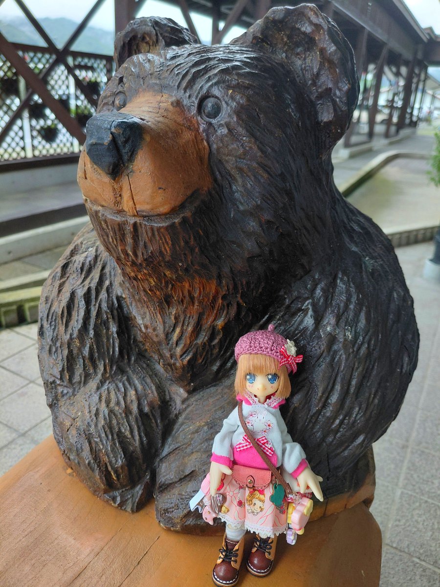 nonpubakudan's tweet photo. 🧸🐻️くまさん可愛い https://t.co/iB5ebxSeHc