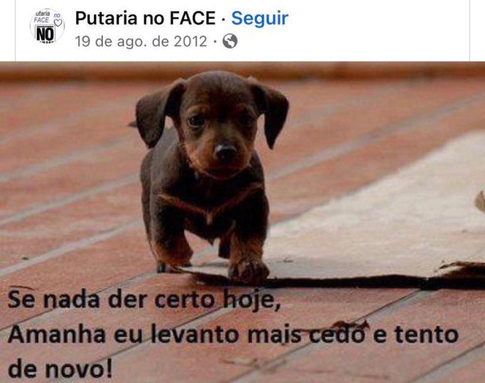 face_acabou's tweet photo. https://t.co/FCv6NTYAVC