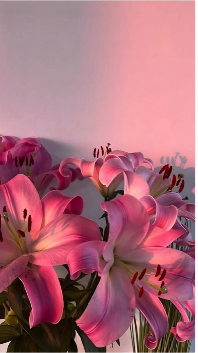 Flowersidmb's tweet photo. https://t.co/XSLCZxQtS5