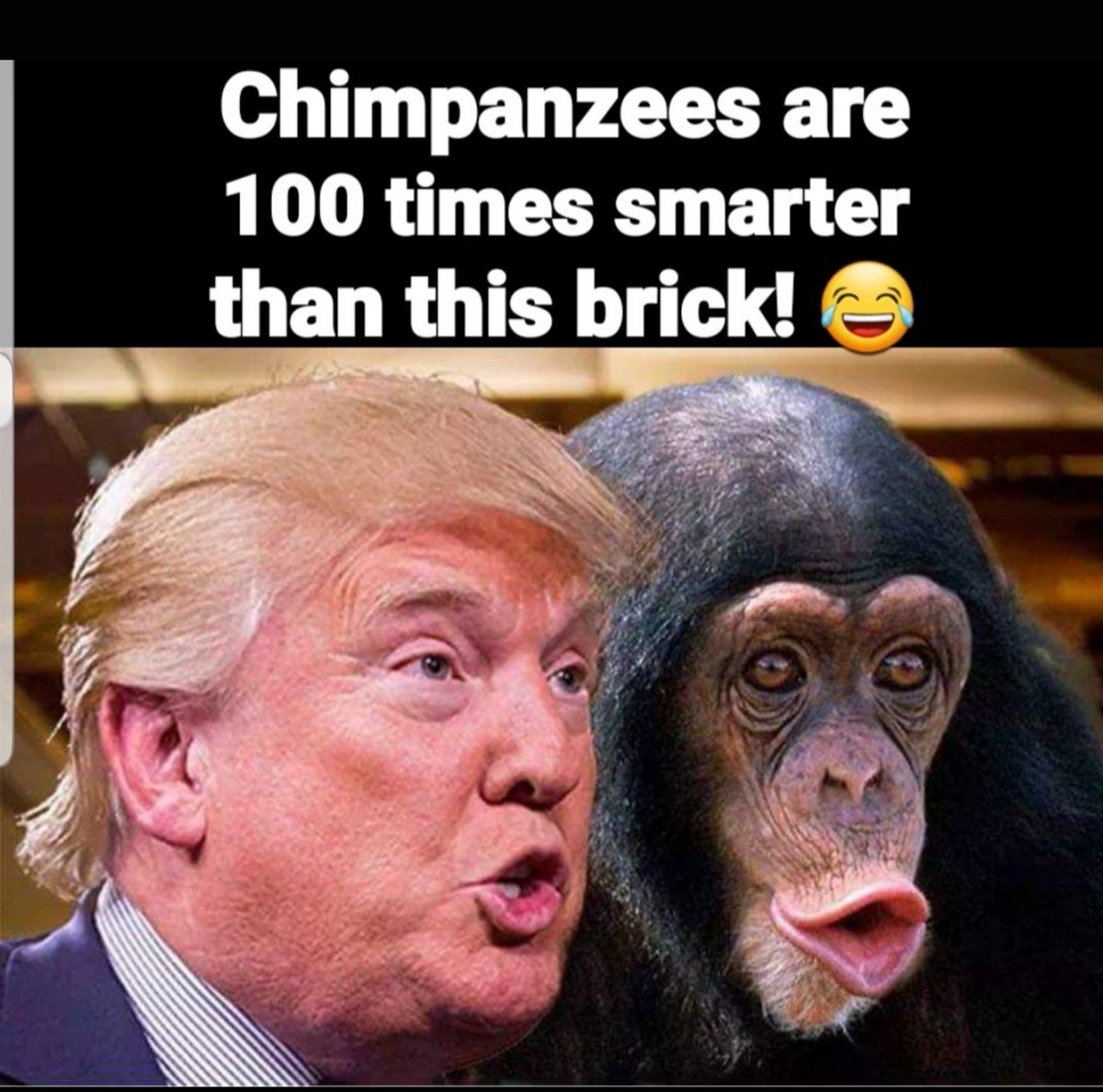 universenus's tweet photo. @LucasSa56947288 @realDonaldTrump go and fu ck yourself! You're a sleazy corrupt POS your last day will be painful and a Glorious day to watch you crumble! We majority #Canadians will boycott all #REDSTATES and cripple the scum who voted for you sleazy corrupt fucking shit stain! #RealFreeSpeech https://t.co/RFCKdEDEET