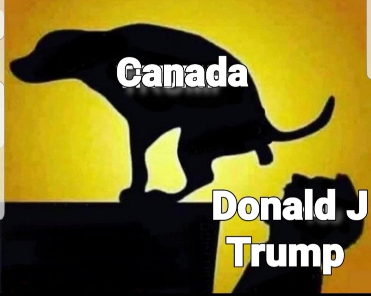 universenus's tweet photo. @LucasSa56947288 @realDonaldTrump go and fu ck yourself! You're a sleazy corrupt POS your last day will be painful and a Glorious day to watch you crumble! We majority #Canadians will boycott all #REDSTATES and cripple the scum who voted for you sleazy corrupt fucking shit stain! #RealFreeSpeech https://t.co/RFCKdEDEET