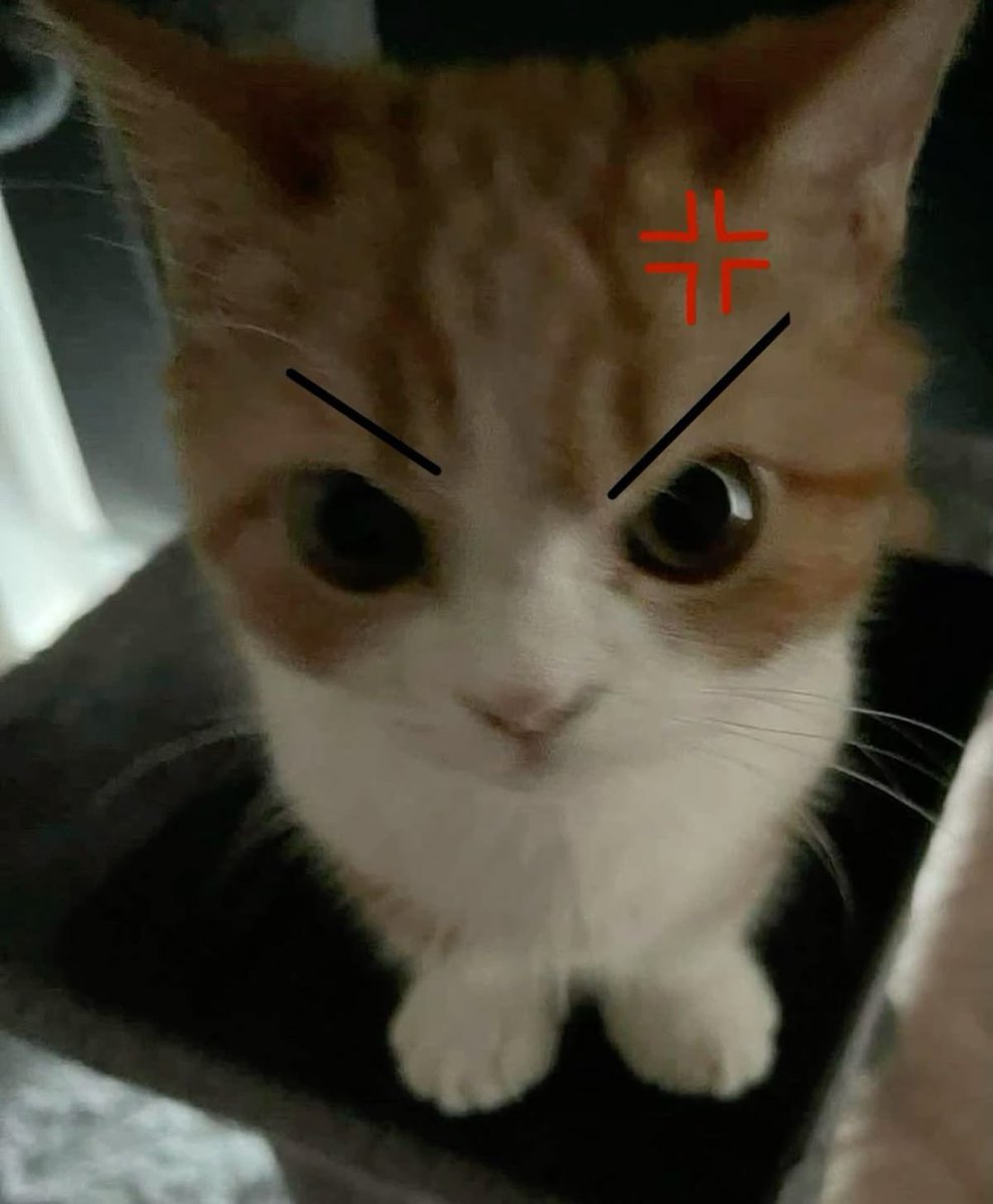 notrllykai's tweet photo. when they say they know me but they call me a puppy boy instead of a cat boy.. https://t.co/ByRrzZZKuz
