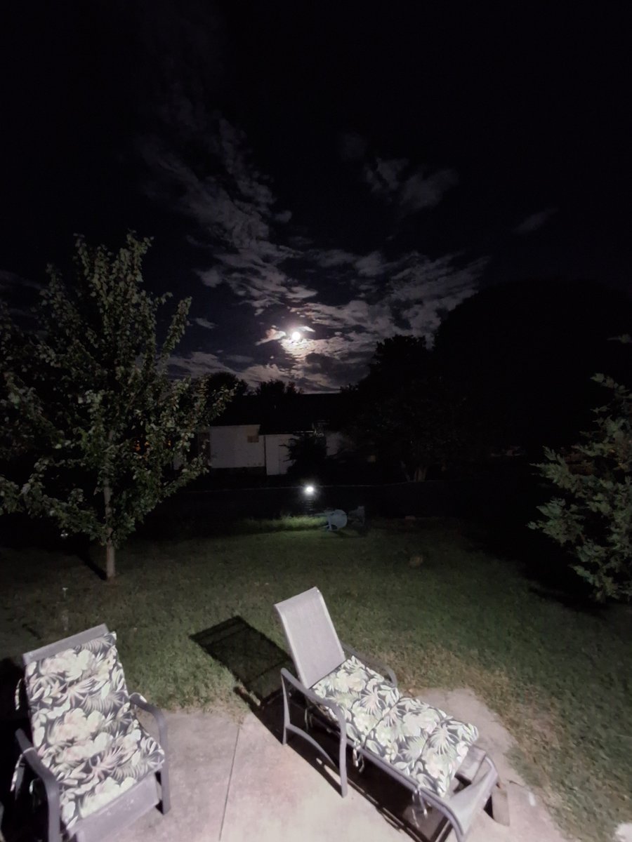 BelzerAnn's tweet photo. Backyard https://t.co/49zBtDzknZ