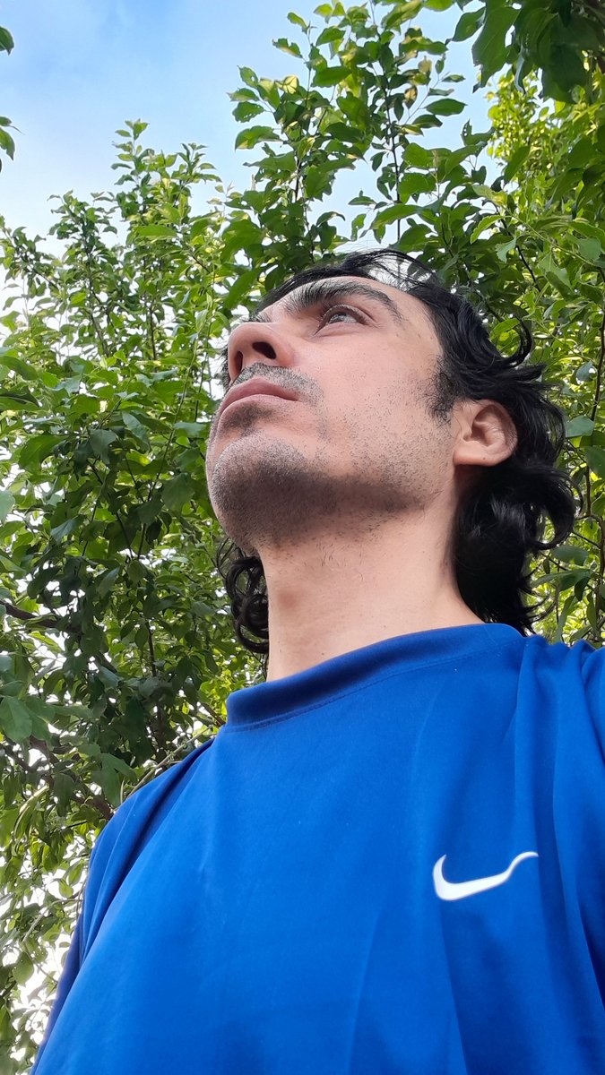 migueljmoran's tweet photo. 💎🔷️🍀🤙 https://t.co/Bot2A1cnSL