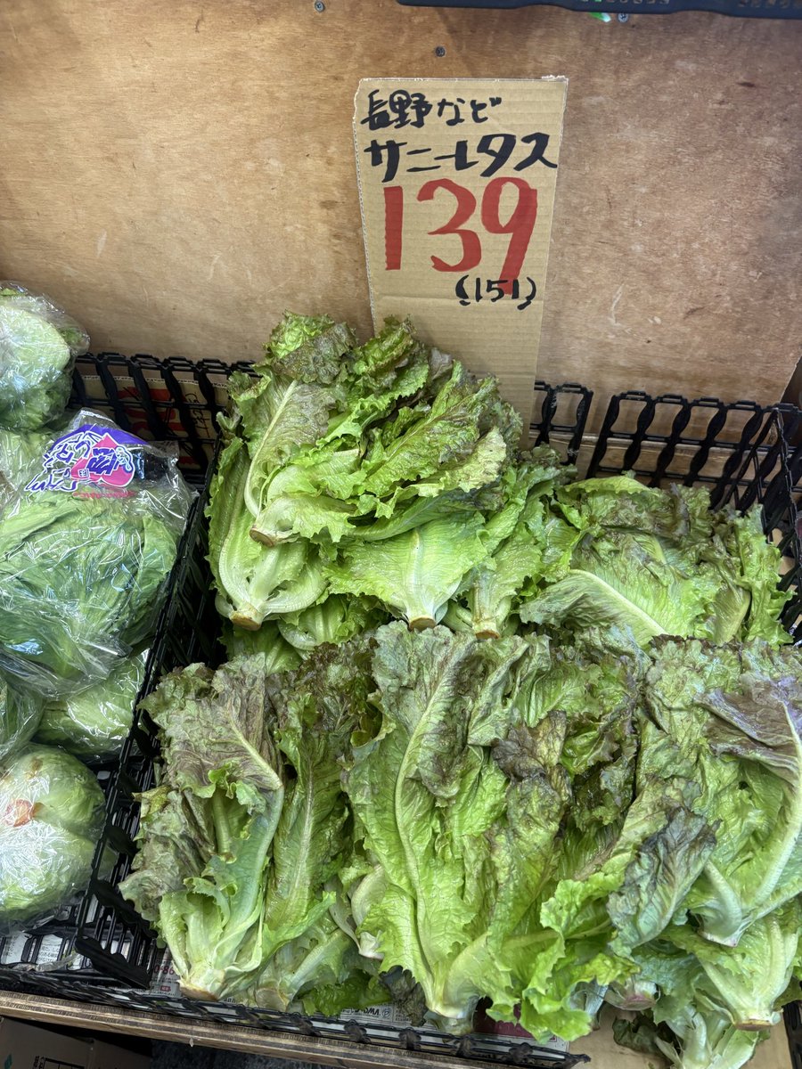 mindhorieten's tweet photo. 長野産など #サニーレタス 1個 139円🥬
大分産 #早生みかん 1袋 269円🍊
青森産など #きおう 1山 399円🍎
岡山産 #ニューピオーネ 1パック 599円🍇
＃マインド堀江店 #八百屋 https://t.co/P8lvMo0Lmu