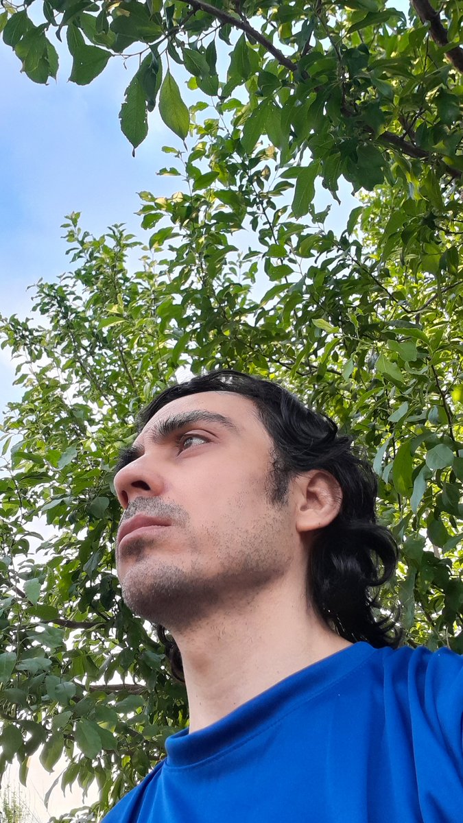 migueljmoran's tweet photo. 💎🔷️🍀🤙 https://t.co/Bot2A1cnSL