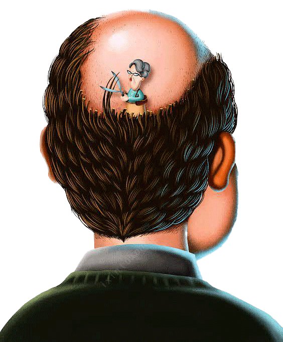 mildr_spark_445's tweet photo. This bald guy’s so timid, he’s already scared to move a muscle. https://t.co/4xhJvXSvQy