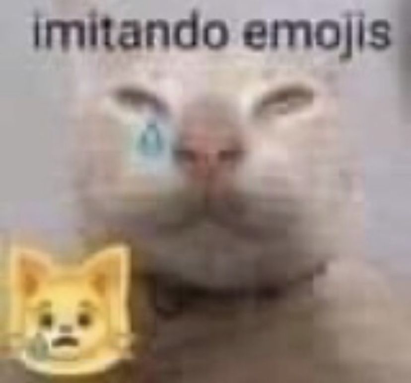 KolacaoR's tweet photo. @nissiupdates2 @MeowyNissi @dedsafio No duro ni un dia la deidad del porno https://t.co/nU3GSujsoS