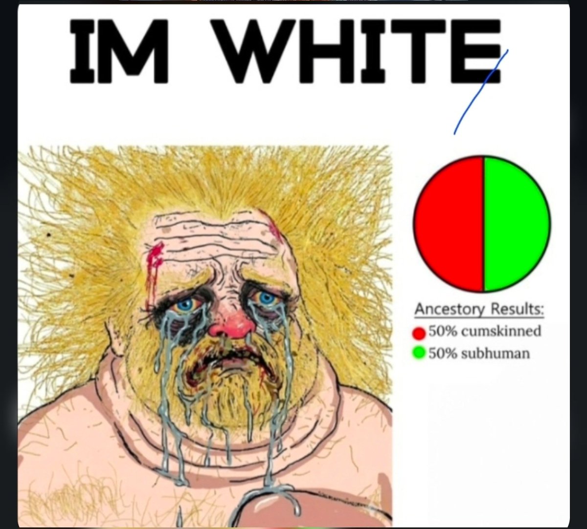 shownok8's tweet photo. @WurstIsYet2Cum @BowTiedRanger Got it ? Inbred retard white faggot ? https://t.co/Rod3ivEo82