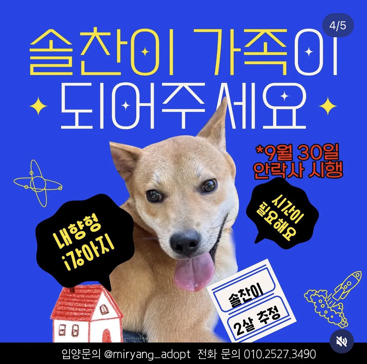 Suwoul_Seoul's tweet photo. 밀양 내일 안락사 입니다. 이제 네아이 남았습미다. 임시보호 해 주실 분 찾습니다. 입양해 주실 분도 찾습니다. 임보나 입양이 어려우시면 터치 한번으로 공유 부탁드립니다. 공유하면 살릴 수 있습니다. 더 많은 사람이 볼 수 있도록 부탁드립니다. 더이상 연장은 없다고 합니다. ㅠㅠ https://t.co/7JmXAjcrc6