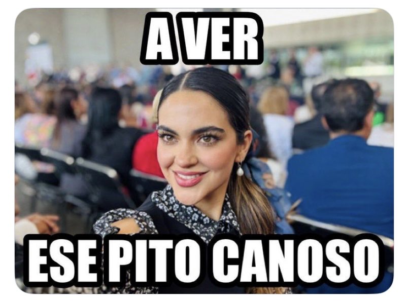 RoninShaolin's tweet photo. Es de mi agrado informarles que Andrea Chávez Treviño acaba de pelársela y deberá regresar a lo que mejor sabe hacer…
#PutonadelBienestar
#Chihuahua https://t.co/Uvgw0knCPY