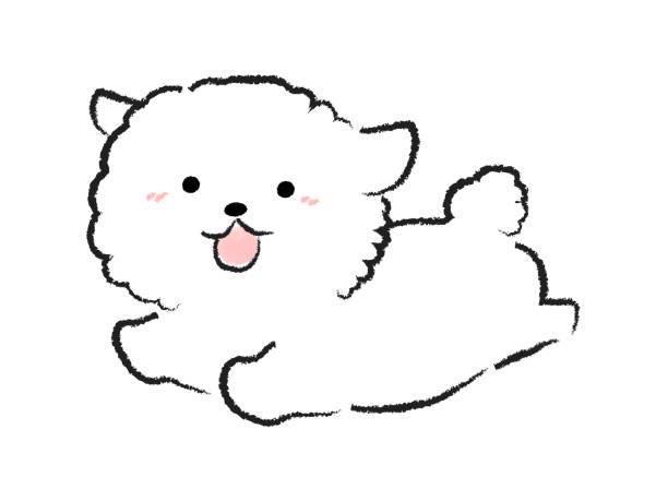 nemui_akubi00's tweet photo. 初めまして!!
ボンド研修生の眠衣あくび(ねむい あくび)と申します!!

動物看護学生をしてる関西女子してます💪🏻

好きな物はナマケモノ🫶🫶

嫌いな物はセミとカエルです🙄

趣味は自分の愛犬を吸って吸いまくる事です💪🏻

枠では動物の雑学や豆知識をお話させて貰えたらなと思ってます!!😎😎😎 https://t.co/Ii1eLFOtji